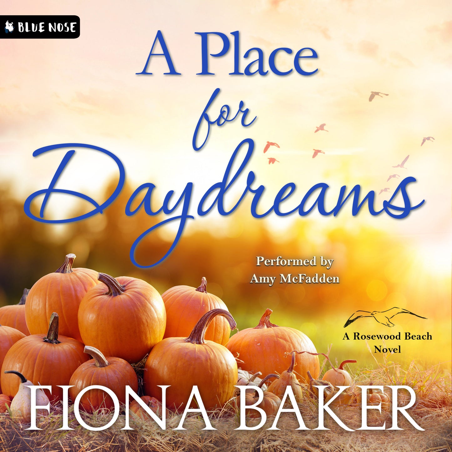 A Place for Daydreams by Fiona Baker