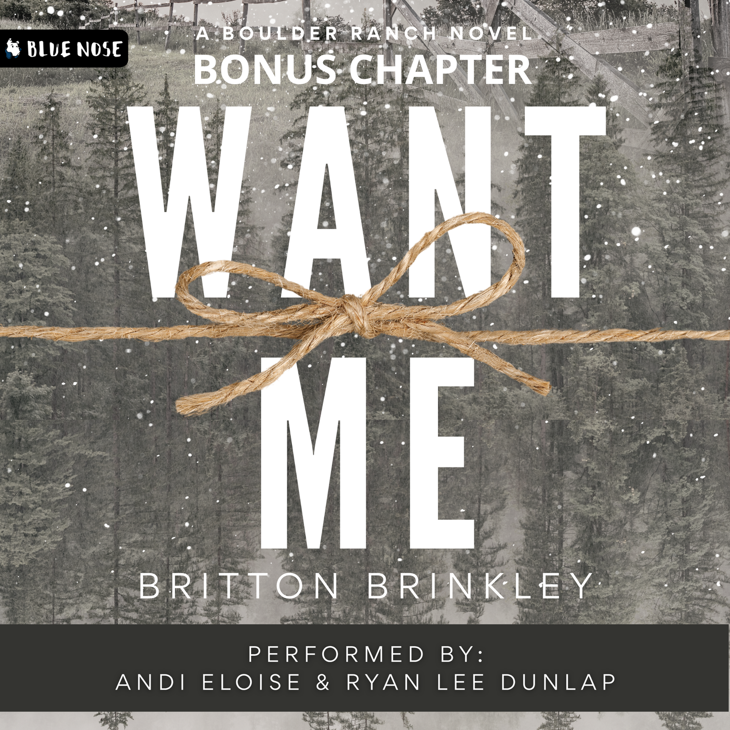 Want Me Bonus Chapter by Britton Brinkley