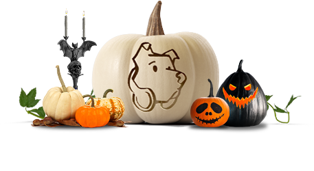 Blue Nose AUDIO App