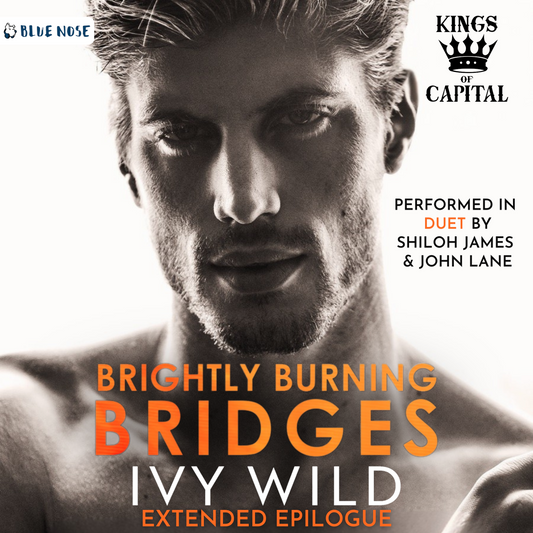 Brightly Burning Bridges Extended Epilogue by Ivy Wild
