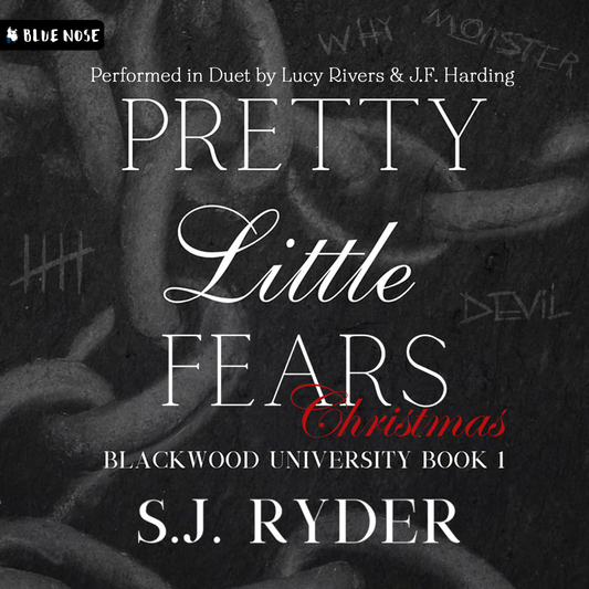 A Pretty Little Fears Christmas by SJ Ryder